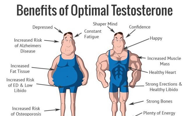 Testosterone Benefits