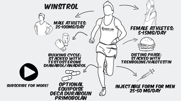 winstrol cycle