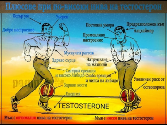 How to raise testerone levels