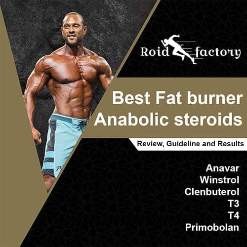 best fat burner